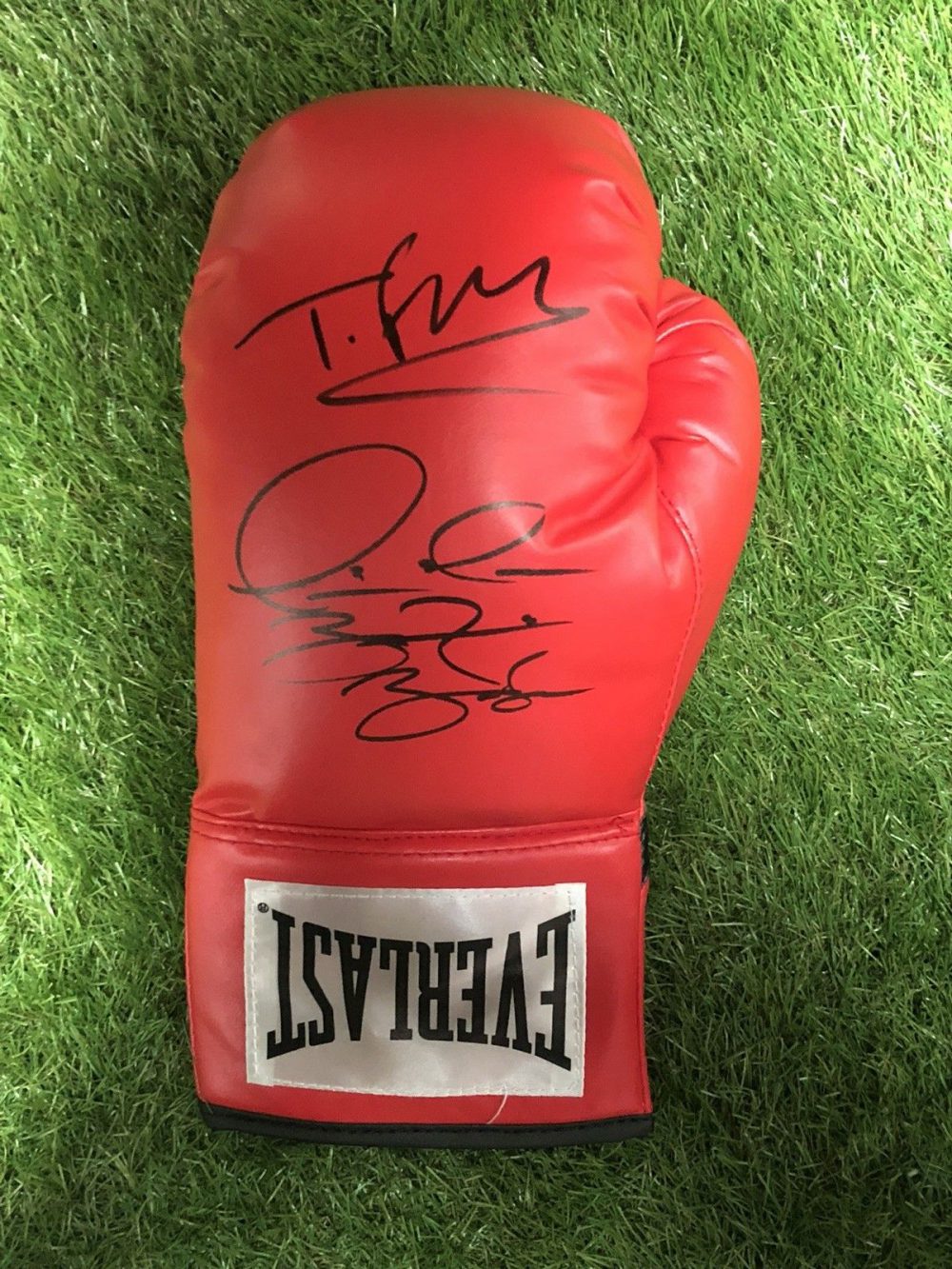 Classic Dome Framed Tyson Fury and Deontay Wilder Signed Boxing Glove